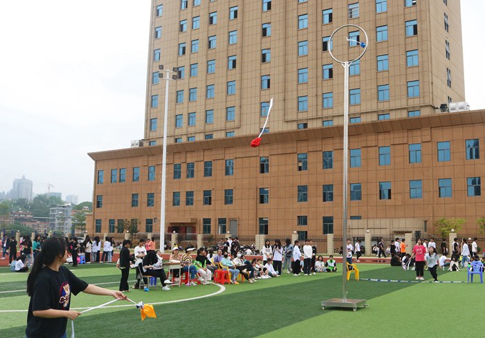 1618378896441250.jpg 高杆绣球.jpg