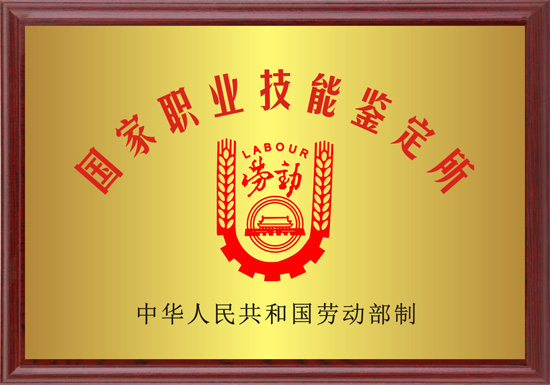 1651024716259591.jpg 6.jpg