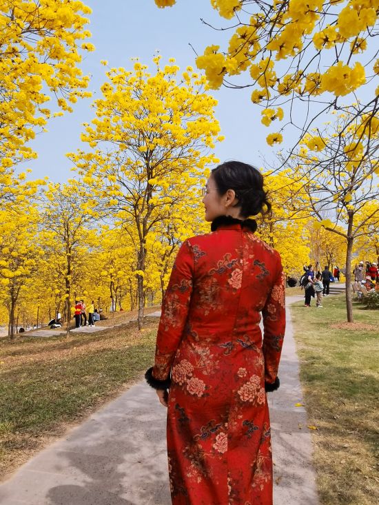 1678672592356857.jpg 4.jpg